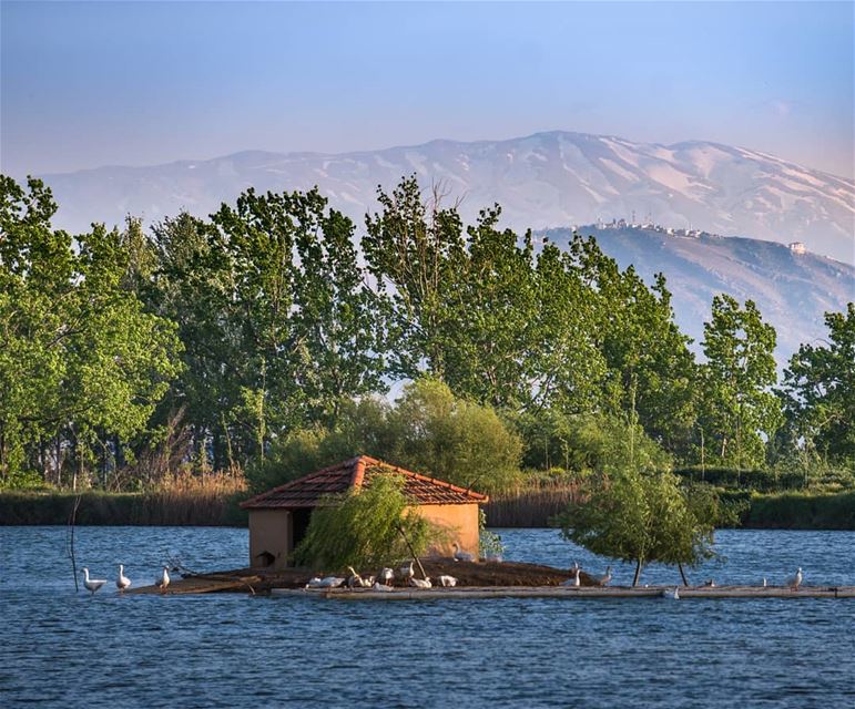 The lake in Taanayel, and Mt Hermon in the distance ... (Deïr Taanâyel, Béqaa, Lebanon)