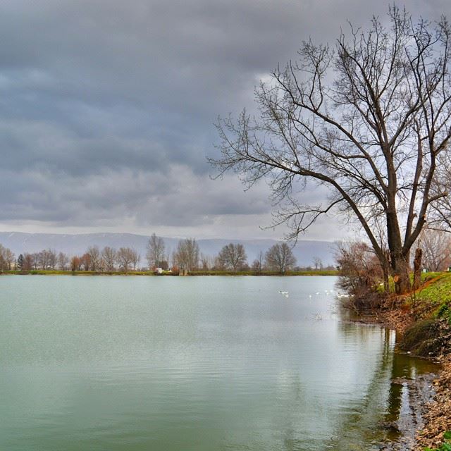 The lake of Taanayel HDRCAMERA : NIKON D5200Awesome reflection and...