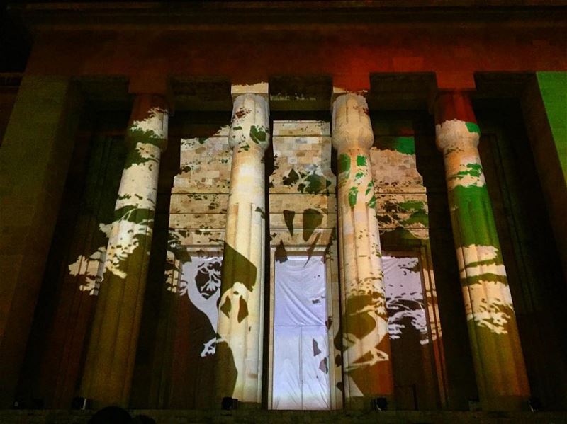 The Lebanese Cedar on the National Museum of Beirut 🇱🇧 (National Museum of Beirut)