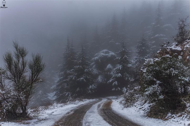 The Lebanese Wonderland!!!!... (Aïn Zhalta, Mont-Liban, Lebanon)