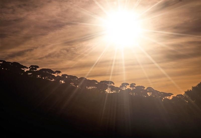 The light comes from above!!  goodmorning  sunrays  sunburst  sun  sunny ... (Jezzîne, Al Janub, Lebanon)