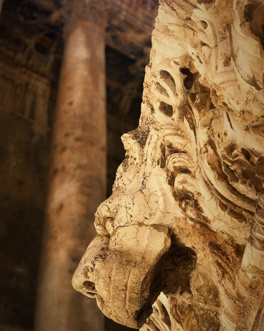 The Lion King  🦁 baalbeck  lebanon  ruins  roman  old  history ... (Baalbek, Lebanon)