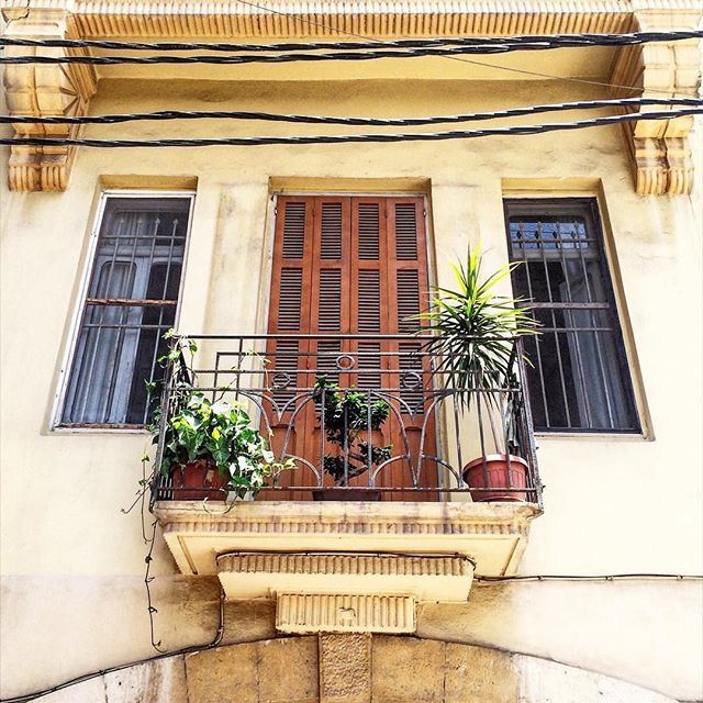 The love for green even on the tiniest balcony 🌿💚 (Gemmayze)