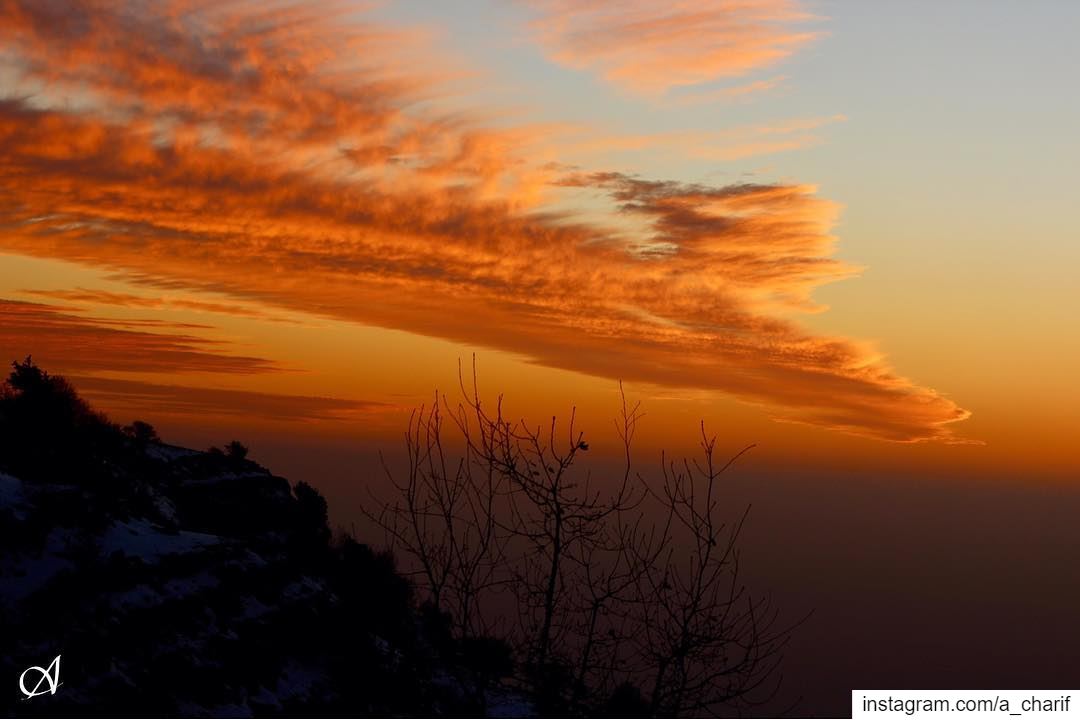 The magical colors of sunset sunset  clouds  sky  colors  tree  outdoors... (Jezzîne, Al Janub, Lebanon)