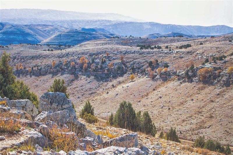 'the man who moves a mountain; begins by carrying away small stones...''' (El Laklouk, Mont-Liban, Lebanon)