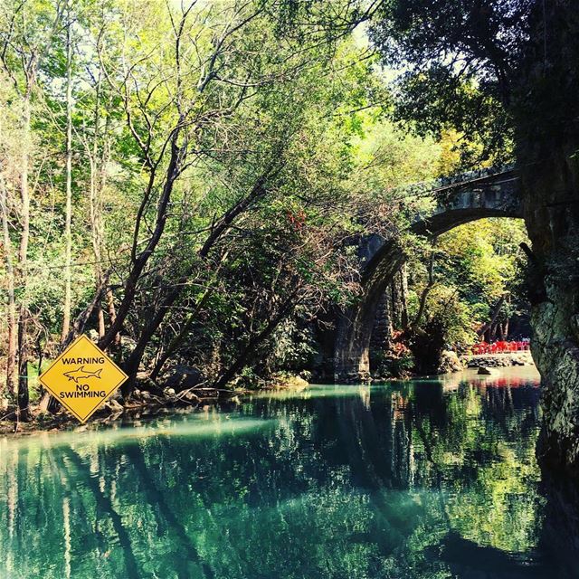 The mesmerising beauty and connection to nature Lebanon cradles is... (Nahr Ibrahim, Mont-Liban, Lebanon)