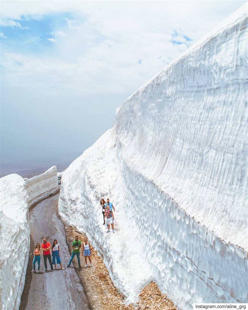 ° The Minions ° 🤪📸 By @rami_rizk89  summer  snow  wall  north  lenanon... (الارز بشري)