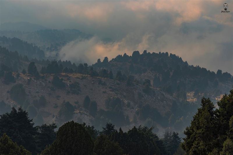 The misty mountains of El Qammoûaa!!!!... (El Qammoûaa)