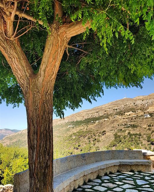 The most precious things come from inexpensive sources ...enjoy the view 😊 (Al Warhaniyah, Mont-Liban, Lebanon)