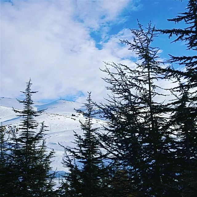 The mountain is calling and i must go ...