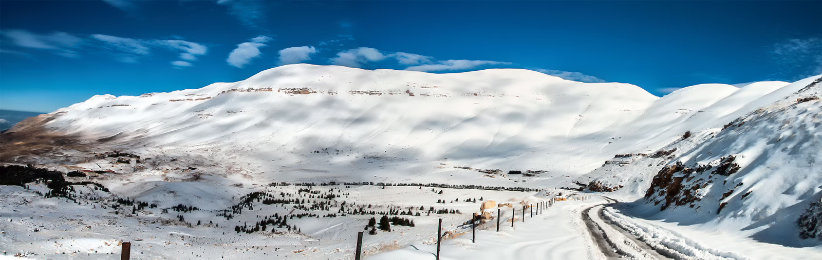 The Mountains of Cedars