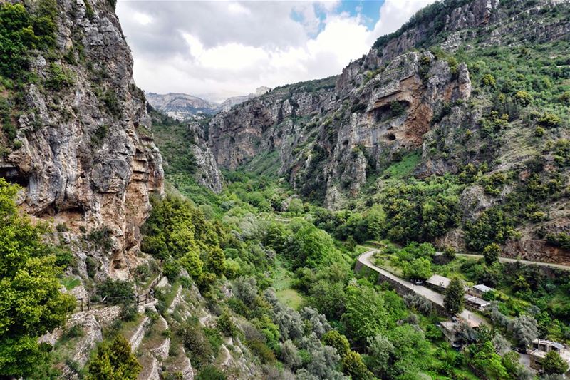 The Mouth of the Qadisha Canyon in the Spring - Green is all over the...