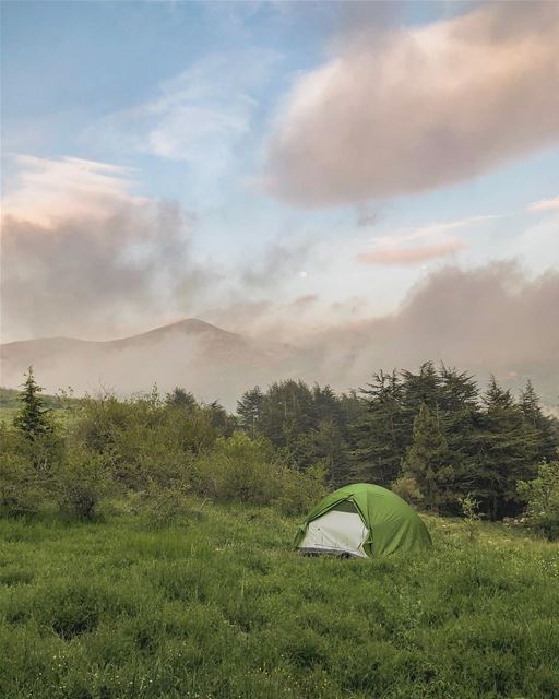 The night under the moon!..... camping  mountainescape  thislife ...