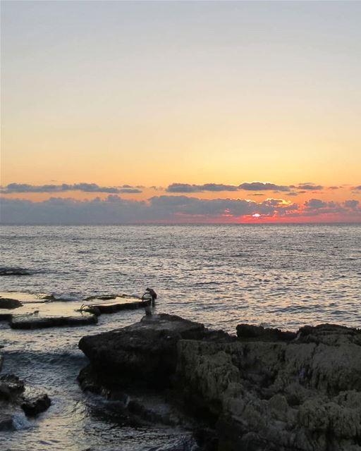 ... The "Odd" Man and the Sea... 😀------.. Lebanon_HDR  Ливан  Бейрут... (Beirut, Lebanon)