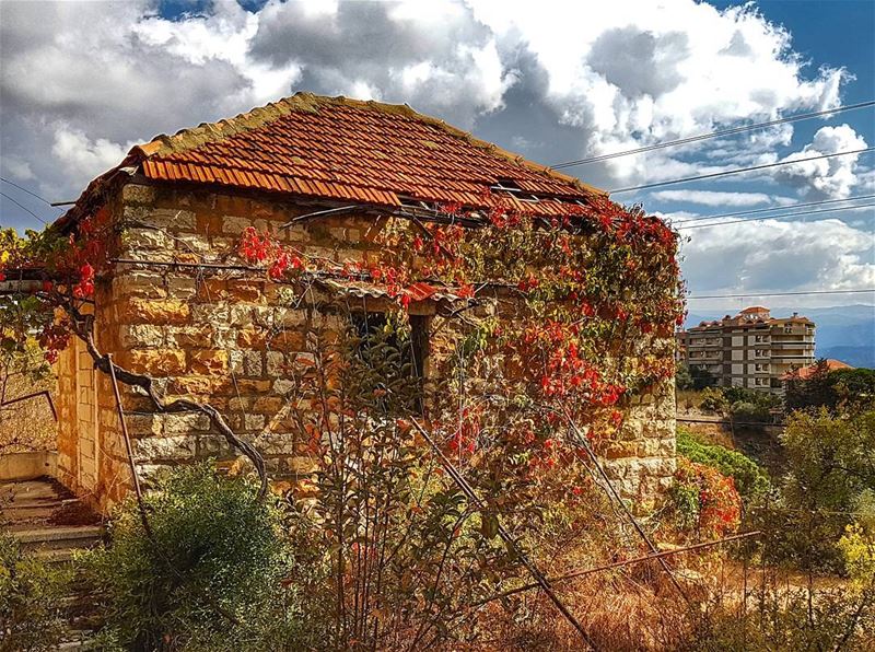 The old house wearing autumn colors  lebanonhouses  oldhouse  autumn ... (Brummana)