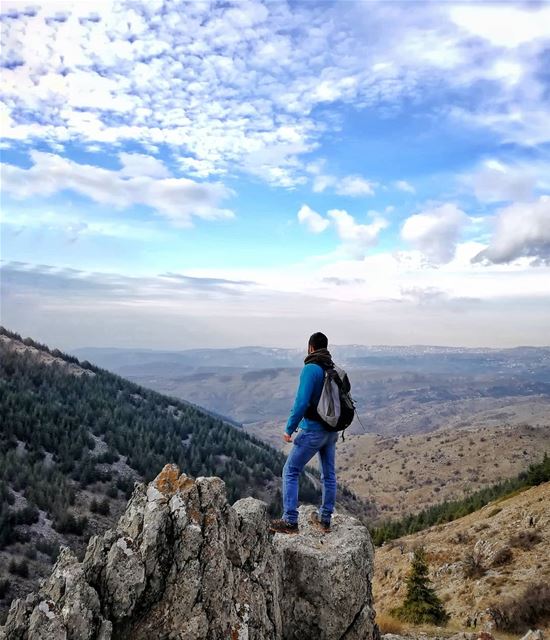 The only thing I ever wanted, the only thing I ever needed is my own way,... (Al Shouf Cedar Nature Reserve)
