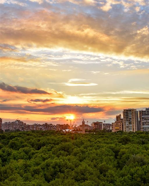 The other side of Beirut 🌄🌿🌲- The Golden hour - Horch Beirut 5/11/2018... (Beirut, Lebanon)