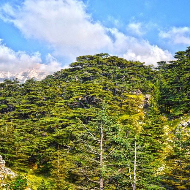 The "paradise of Lebanon " Camera : nikon d3200Location : Al-Arz Lebanon... (Al Arz, Bcharre)