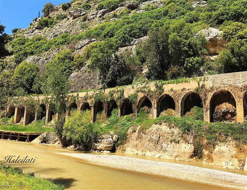 The past is a place of reference  not a place of residence 💞... (Nahr el-Kelb)
