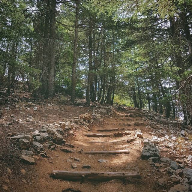 The path out of darkness is always one decision away, I hope we will have... (Lebanon)