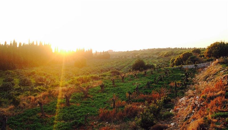 The peaceful north. beirut  lebanon  sun  sunrise  city  photographer ... (Chekka)