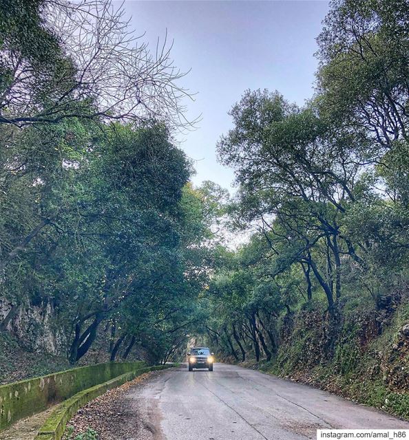 The people who are meant to be in your life, will always gravitate back... (Hamâte, Liban-Nord, Lebanon)