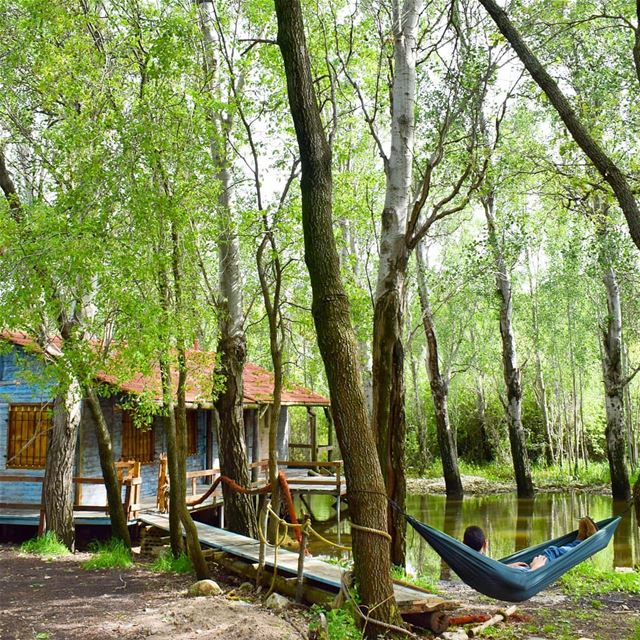 The Perfect Escape 🏡 (Abdelli, Liban-Nord, Lebanon)
