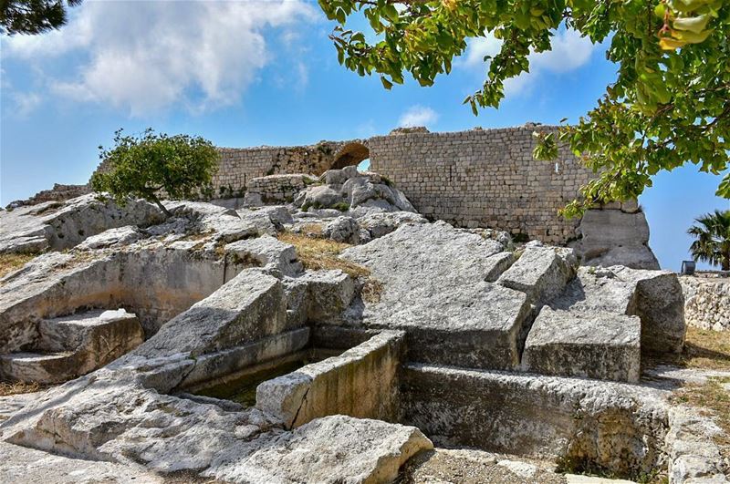 The Phoenician and Roman Grapes 🍇 Presses at Smar Jubail Citadel / Wine 🍷 (Smar Jubayl, Liban-Nord, Lebanon)