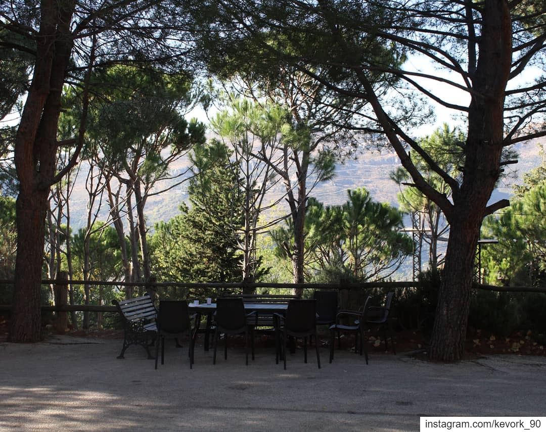The pine stays green in winter... pinetrees  nature  natgeo ... (Ar Ramliyah, Mont-Liban, Lebanon)