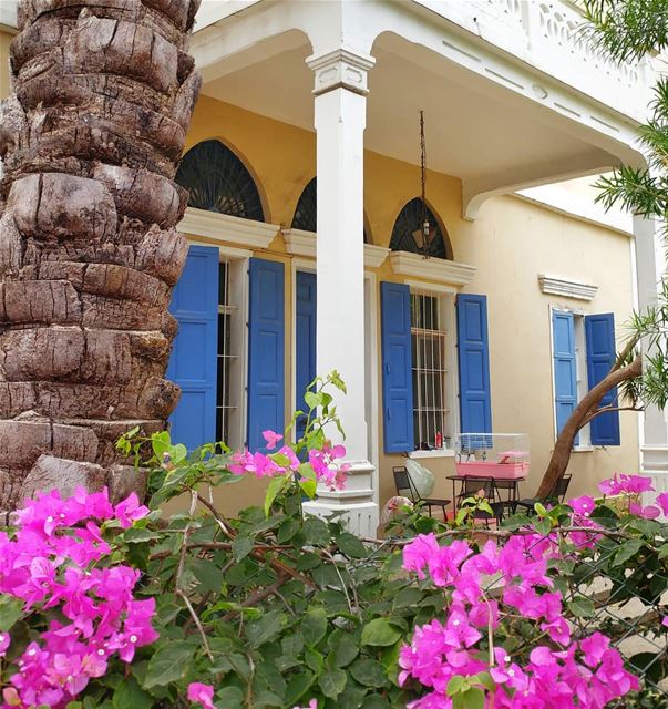 The pretty houses of Beirut 🌼