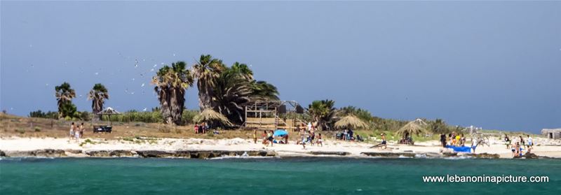 The Rabbit Island , North Lebanon جزيرة الارانب ، شمال لبنان (Palm Island)