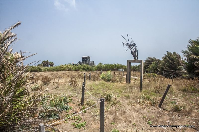 The Rabbit Island , North Lebanon جزيرة الارانب ، شمال لبنان (Palm Island)