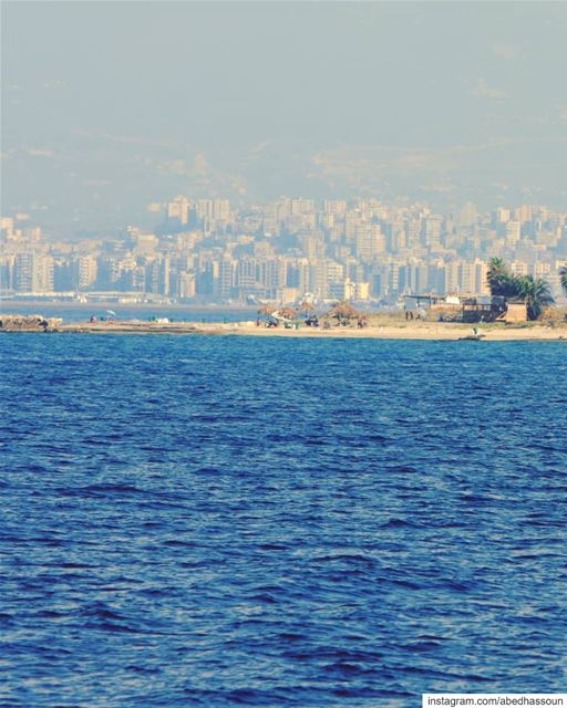 The Rabbits island, a part of the Palm Islands Nature Reserve 🏝(Swipe 👉� (Palm Islands Nature Reserve . Office .)