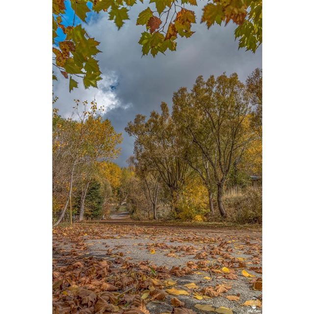 The real meaning of “Autumn” spirit!!!!... (El Laklouk, Mont-Liban, Lebanon)