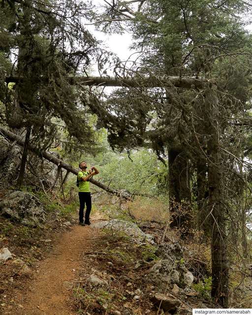 The right angle........ ehdenadventures  liveloveehden ... (Ehden Natural Reserve)