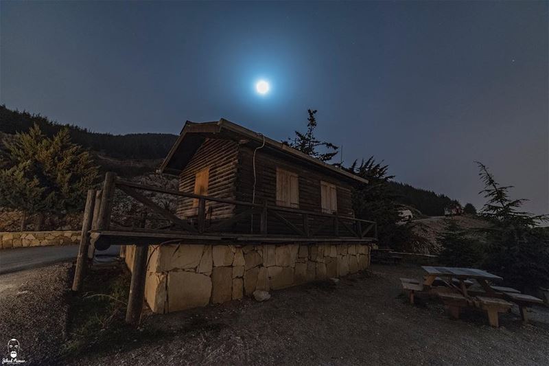 The rising Moon Over Shouf Biosphere Reserve...