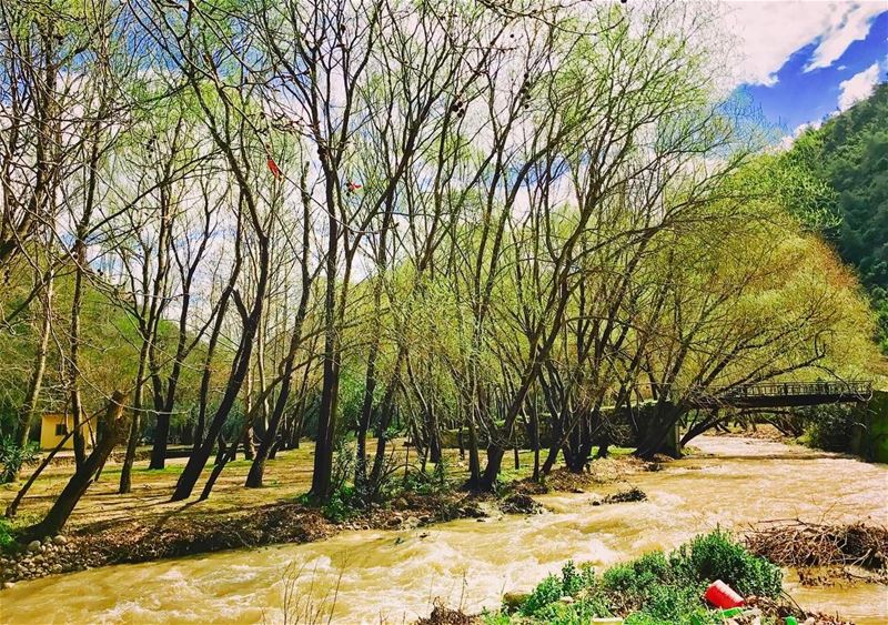 "The river is everywhere at the same time, at the source and at the... (`Akkar, Liban-Nord, Lebanon)