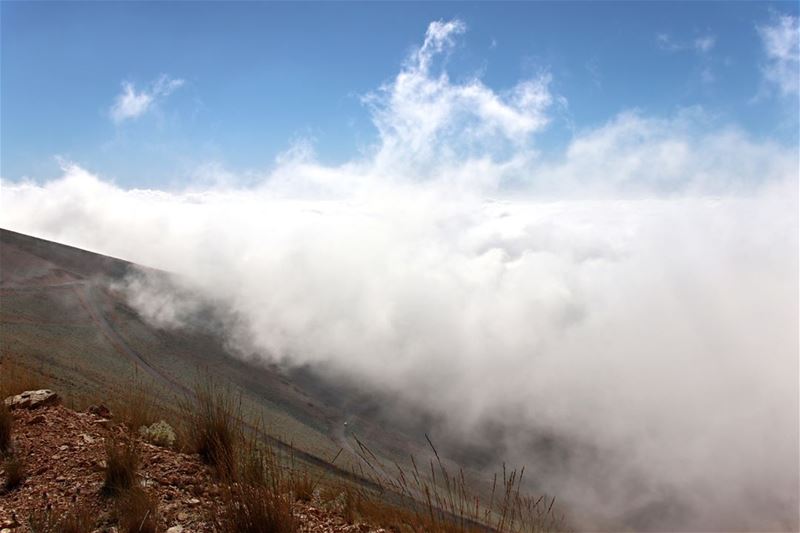 The Road above the Clouds clouds  white  road  skies  blue  cloudnine ... (Lebanon)