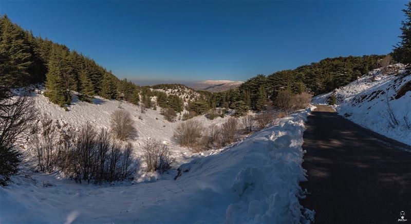 The Road!!!!... (El Bârouk, Mont-Liban, Lebanon)