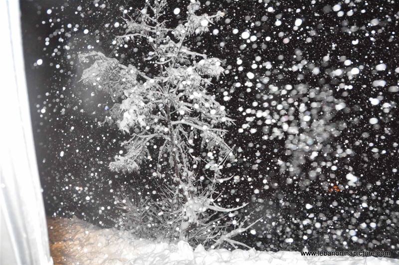 The Road is Covered with Snow