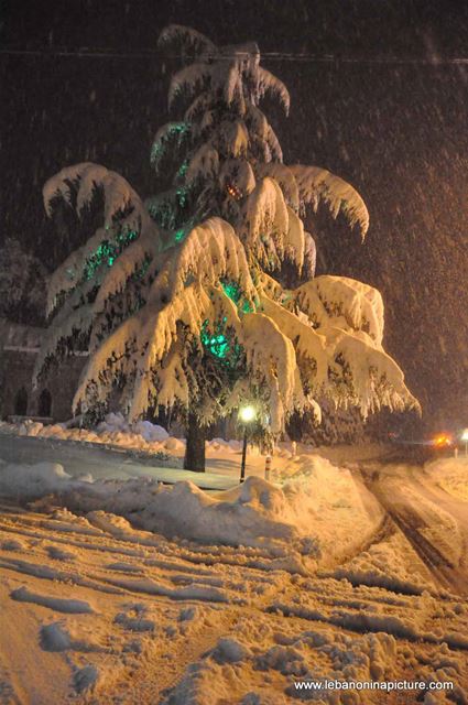 The Road is Covered with Snow