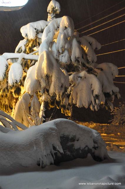 The Road is Covered with Snow
