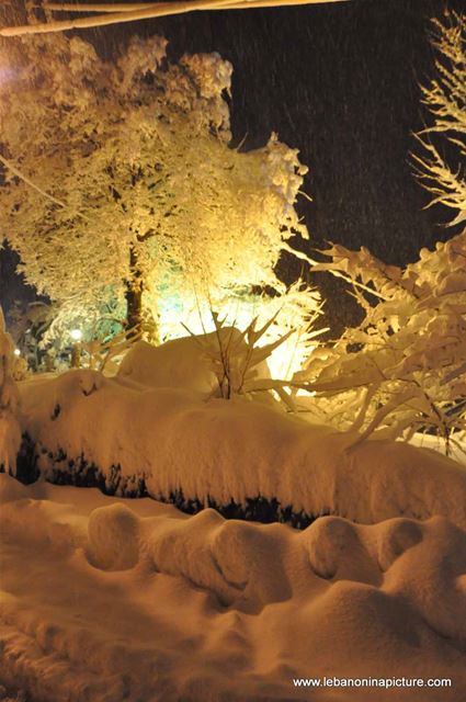 The Road is Covered with Snow