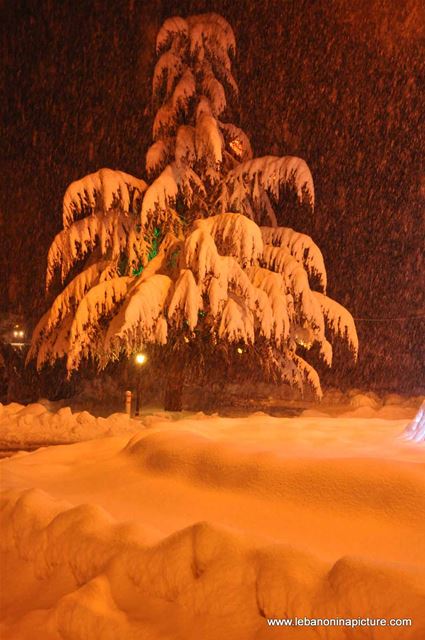 The Road is Covered with Snow