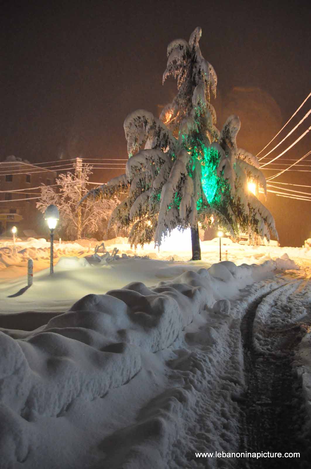 The Road is Covered with Snow