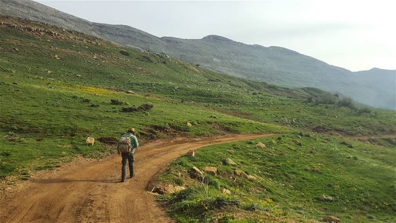 The road less traveled 🍃...... roamtheplanet  adventurethatislife ... (Falougha, Mont-Liban, Lebanon)