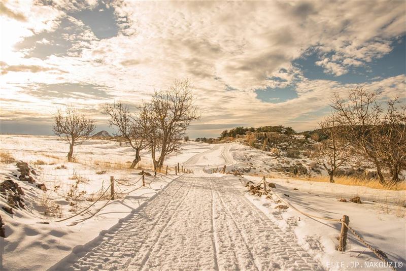 The road to heaven.. nikon  sigmaart  photography  picture  trip  snow ... (Arz Tannoûrîne)