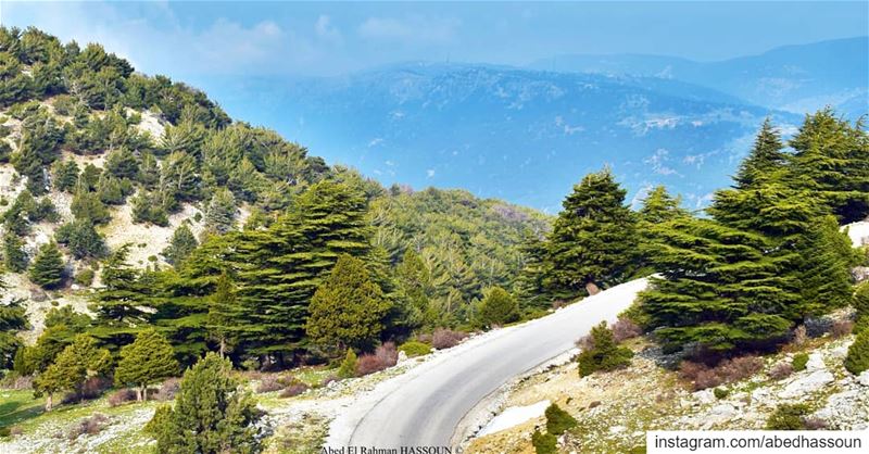 The road to the Northern Cedars 🇱🇧.................... (El Qammoûaa)