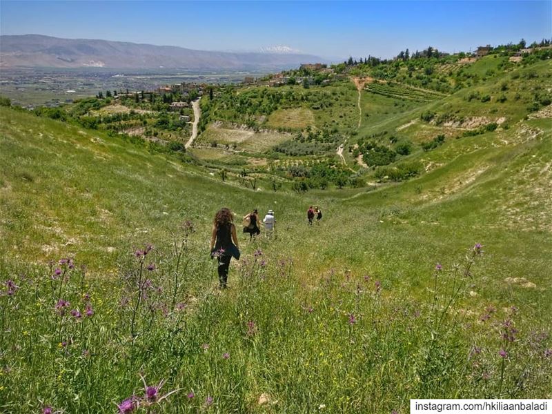 The Rose Hike...  qsarnaba  rose  hike  spring  blossom ...