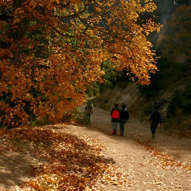 The sacred joy of autumn  lebanon  amazingviewsofnorthlebanon ...